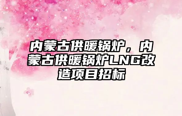 內(nèi)蒙古供暖鍋爐，內(nèi)蒙古供暖鍋爐LNG改造項目招標(biāo)