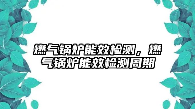燃?xì)忮仩t能效檢測，燃?xì)忮仩t能效檢測周期