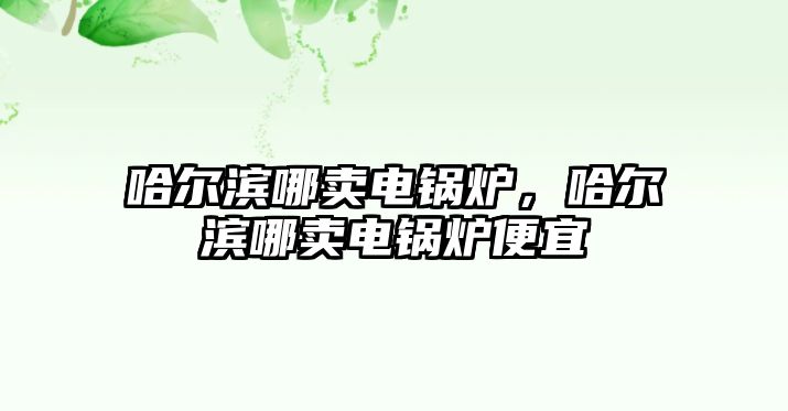 哈爾濱哪賣電鍋爐，哈爾濱哪賣電鍋爐便宜