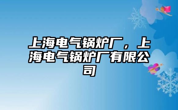 上海電氣鍋爐廠，上海電氣鍋爐廠有限公司
