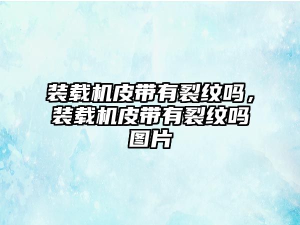 裝載機(jī)皮帶有裂紋嗎，裝載機(jī)皮帶有裂紋嗎圖片