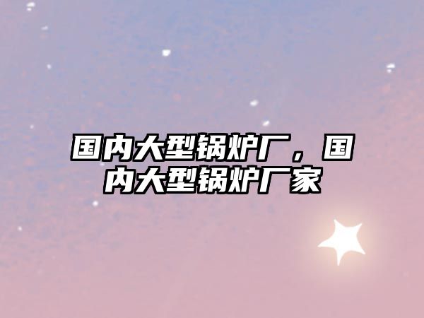 國內(nèi)大型鍋爐廠，國內(nèi)大型鍋爐廠家