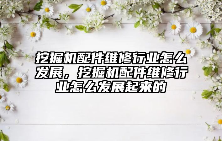 挖掘機(jī)配件維修行業(yè)怎么發(fā)展，挖掘機(jī)配件維修行業(yè)怎么發(fā)展起來(lái)的