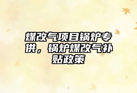煤改氣項目鍋爐專供，鍋爐煤改氣補貼政策