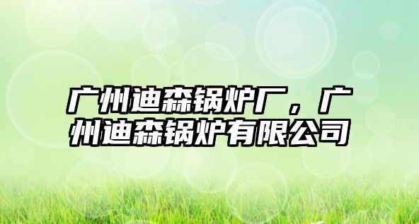 廣州迪森鍋爐廠，廣州迪森鍋爐有限公司