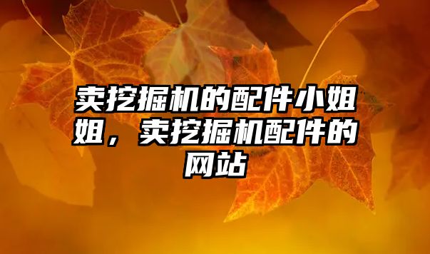 賣挖掘機(jī)的配件小姐姐，賣挖掘機(jī)配件的網(wǎng)站