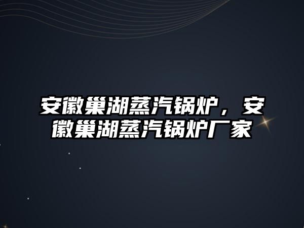 安徽巢湖蒸汽鍋爐，安徽巢湖蒸汽鍋爐廠家