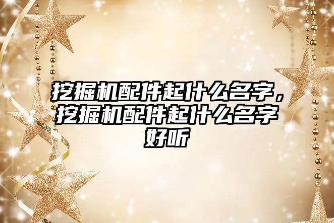 挖掘機配件起什么名字，挖掘機配件起什么名字好聽