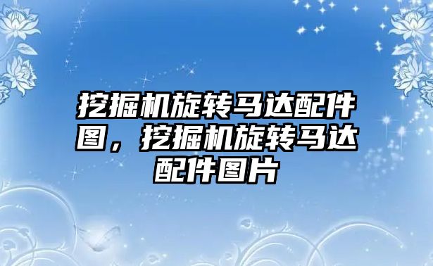挖掘機旋轉(zhuǎn)馬達配件圖，挖掘機旋轉(zhuǎn)馬達配件圖片