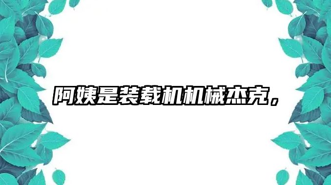 阿姨是裝載機(jī)機(jī)械杰克，