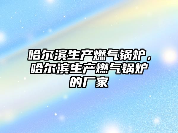 哈爾濱生產(chǎn)燃?xì)忮仩t，哈爾濱生產(chǎn)燃?xì)忮仩t的廠家