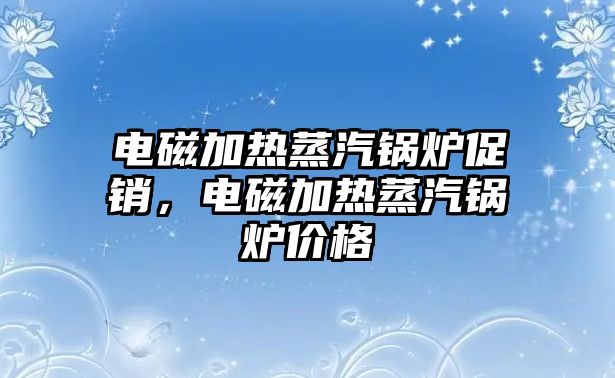 電磁加熱蒸汽鍋爐促銷，電磁加熱蒸汽鍋爐價(jià)格