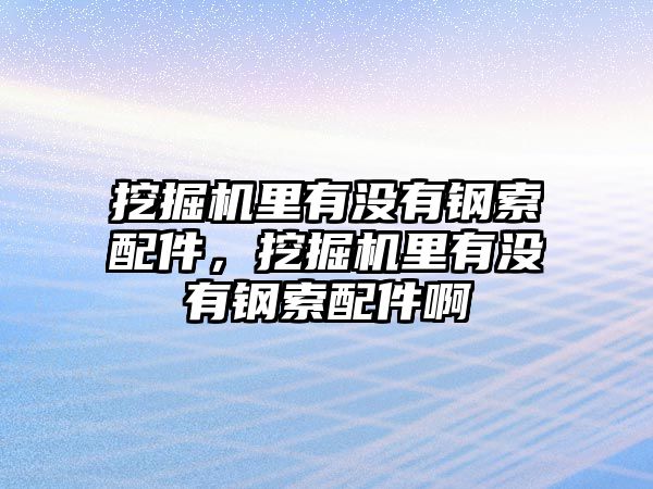 挖掘機(jī)里有沒(méi)有鋼索配件，挖掘機(jī)里有沒(méi)有鋼索配件啊