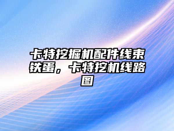卡特挖掘機(jī)配件線束鐵蛋，卡特挖機(jī)線路圖