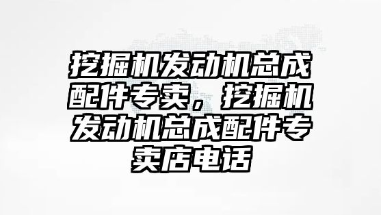 挖掘機發(fā)動機總成配件專賣，挖掘機發(fā)動機總成配件專賣店電話