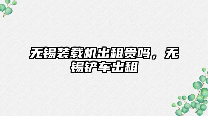 無錫裝載機出租貴嗎，無錫鏟車出租