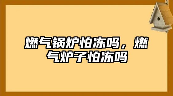 燃?xì)忮仩t怕凍嗎，燃?xì)鉅t子怕凍嗎