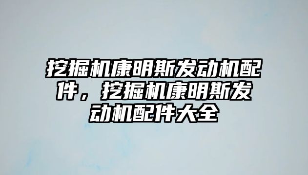 挖掘機(jī)康明斯發(fā)動(dòng)機(jī)配件，挖掘機(jī)康明斯發(fā)動(dòng)機(jī)配件大全