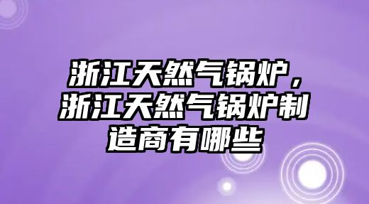 浙江天然氣鍋爐，浙江天然氣鍋爐制造商有哪些
