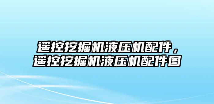 遙控挖掘機(jī)液壓機(jī)配件，遙控挖掘機(jī)液壓機(jī)配件圖