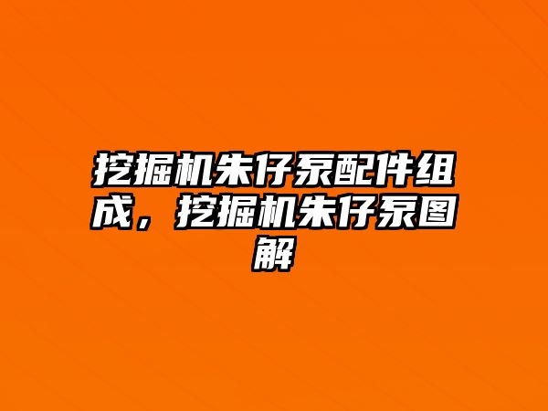 挖掘機朱仔泵配件組成，挖掘機朱仔泵圖解
