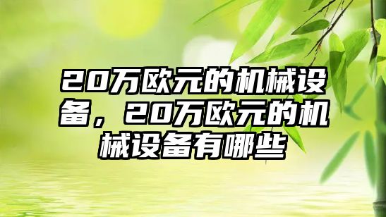 20萬歐元的機械設備，20萬歐元的機械設備有哪些