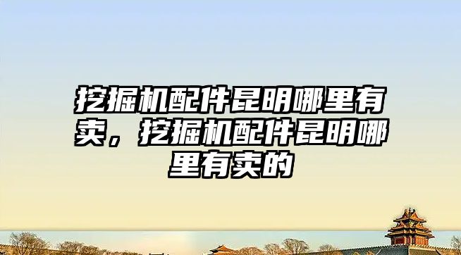 挖掘機(jī)配件昆明哪里有賣，挖掘機(jī)配件昆明哪里有賣的