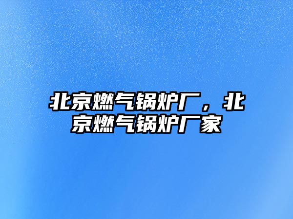 北京燃?xì)忮仩t廠，北京燃?xì)忮仩t廠家