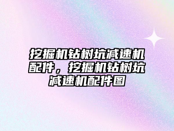 挖掘機鉆樹坑減速機配件，挖掘機鉆樹坑減速機配件圖