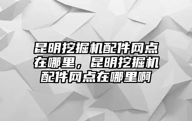 昆明挖掘機配件網(wǎng)點在哪里，昆明挖掘機配件網(wǎng)點在哪里啊