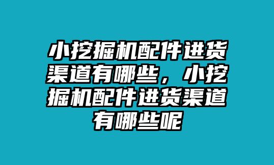小挖掘機(jī)配件進(jìn)貨渠道有哪些，小挖掘機(jī)配件進(jìn)貨渠道有哪些呢