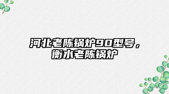 河北老陳鍋爐90型號，衡水老陳鍋爐