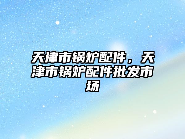 天津市鍋爐配件，天津市鍋爐配件批發(fā)市場