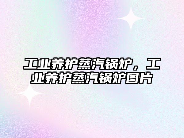 工業(yè)養(yǎng)護(hù)蒸汽鍋爐，工業(yè)養(yǎng)護(hù)蒸汽鍋爐圖片
