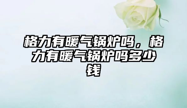 格力有暖氣鍋爐嗎，格力有暖氣鍋爐嗎多少錢