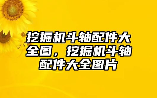 挖掘機(jī)斗軸配件大全圖，挖掘機(jī)斗軸配件大全圖片