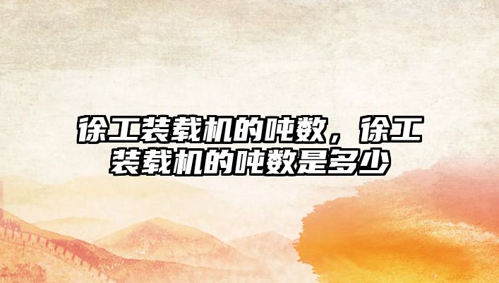 徐工裝載機的噸數(shù)，徐工裝載機的噸數(shù)是多少