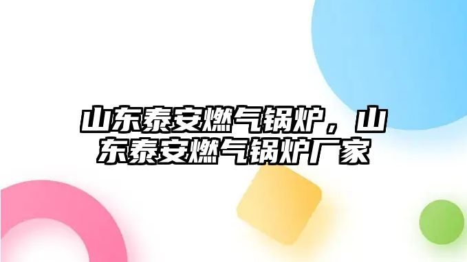 山東泰安燃?xì)忮仩t，山東泰安燃?xì)忮仩t廠家