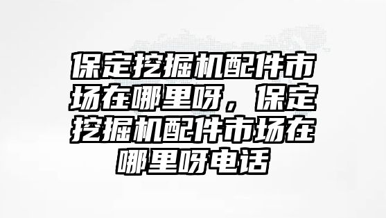 保定挖掘機配件市場在哪里呀，保定挖掘機配件市場在哪里呀電話