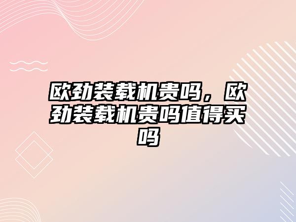 歐勁裝載機貴嗎，歐勁裝載機貴嗎值得買嗎