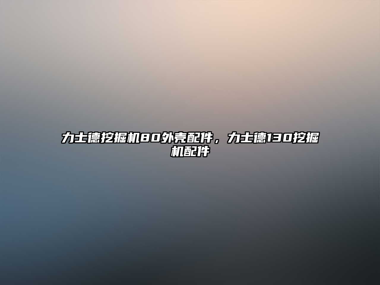 力士德挖掘機(jī)80外殼配件，力士德130挖掘機(jī)配件