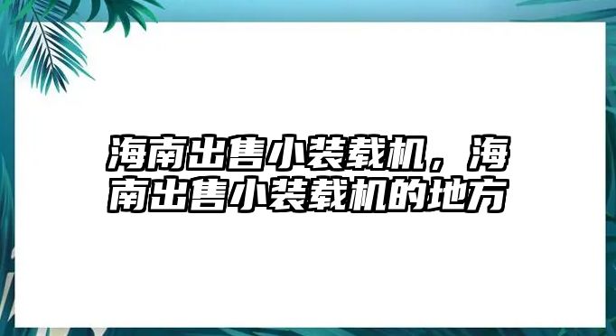 海南出售小裝載機(jī)，海南出售小裝載機(jī)的地方