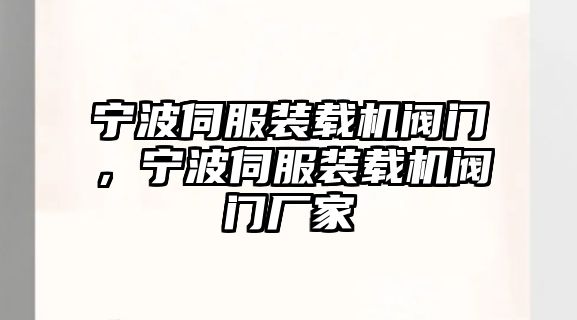 寧波伺服裝載機(jī)閥門，寧波伺服裝載機(jī)閥門廠家