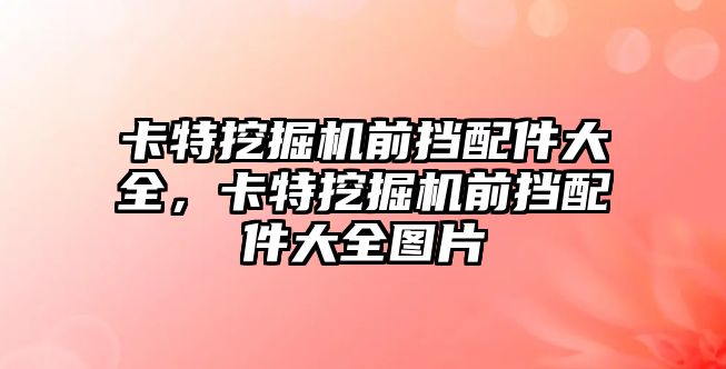 卡特挖掘機前擋配件大全，卡特挖掘機前擋配件大全圖片