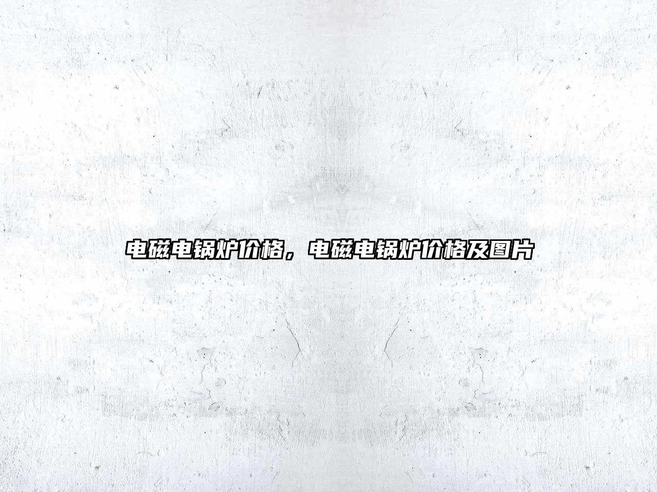 電磁電鍋爐價格，電磁電鍋爐價格及圖片