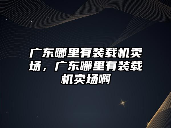 廣東哪里有裝載機賣場，廣東哪里有裝載機賣場啊