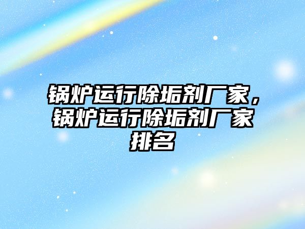鍋爐運(yùn)行除垢劑廠家，鍋爐運(yùn)行除垢劑廠家排名