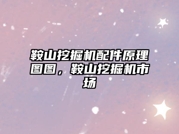 鞍山挖掘機(jī)配件原理圖圖，鞍山挖掘機(jī)市場(chǎng)