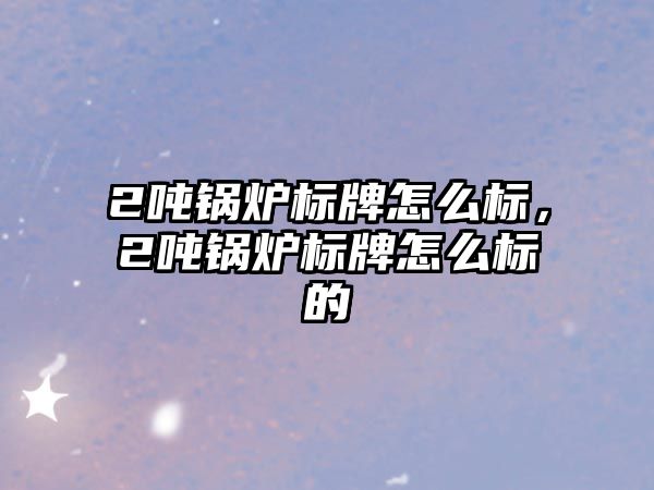 2噸鍋爐標牌怎么標，2噸鍋爐標牌怎么標的