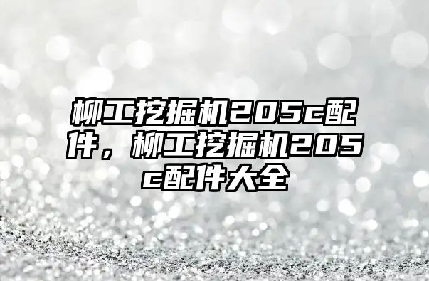 柳工挖掘機205c配件，柳工挖掘機205c配件大全